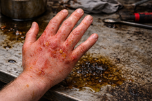 Load image into Gallery viewer, HMS-kurs i hydraulikk – Sikkerhet ved arbeid med hydrauliske anlegg